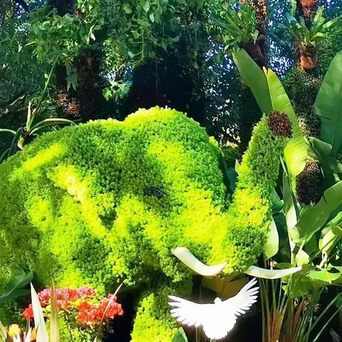 四季之春攻略：速学技巧，告别新手迷茫