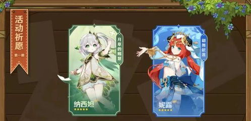 原神妮露装备搭配攻略,告别低配烦恼 原神妮露装备搭配攻略,告别低配烦恼