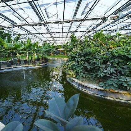 花海甘露套装:适合谁?解决搭配难题 花海甘露套装:适合谁?解决搭配难题