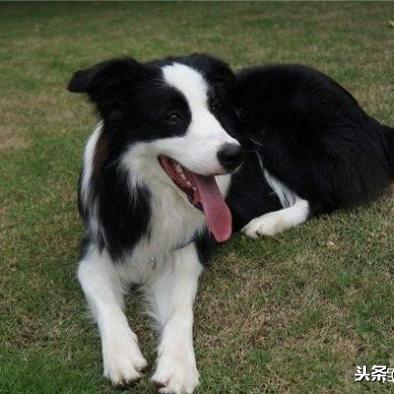 《边境》新手必看!实用技巧助你轻松上手 《边境》新手必看!实用技巧助你轻松上手