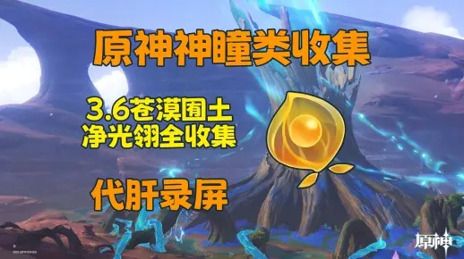 原神3.6宝箱攻略:草神瞳+净光翎速收 原神3.6宝箱攻略:草神瞳+净光翎速收