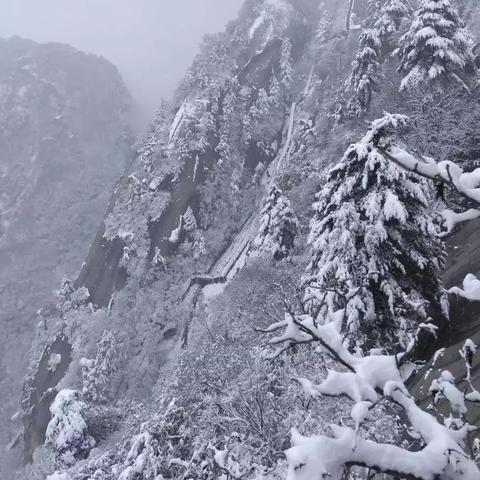 雷劫获取成本揭秘，侠客如何低成本修炼？