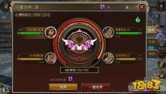 原神碧落之珑属性解析：提升战斗力的关键！