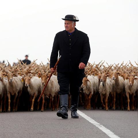 羊了个羊4月8日通关攻略,快速通关秘籍! 羊了个羊4月8日通关攻略,快速通关秘籍!