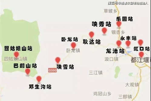 《卧龙》全旗子路线速解攻略