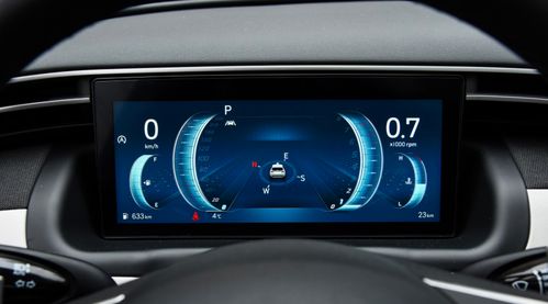 《卧龙二周目Dot流配装攻略