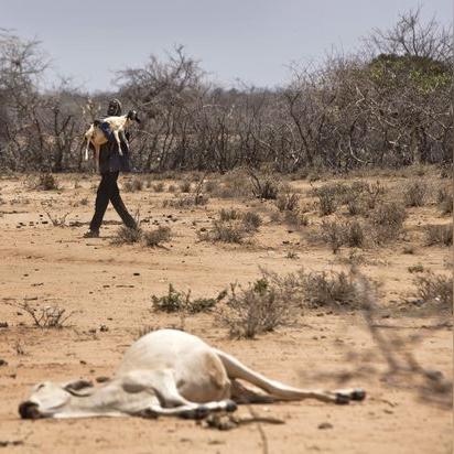 羊了个羊3月6日通关攻略，快速通关秘籍！