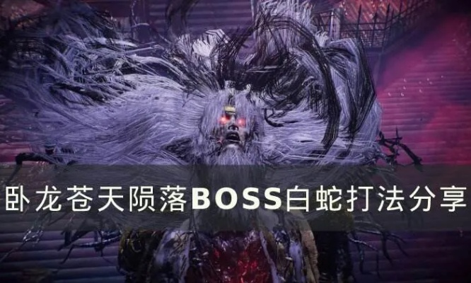 《卧龙》白蛇攻略：高效打法揭秘