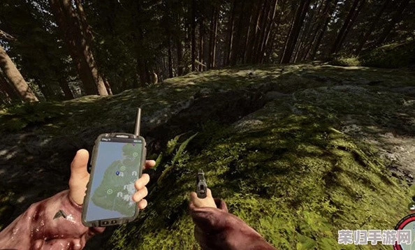 《森林之子》万用卡获取攻略，轻松解锁！