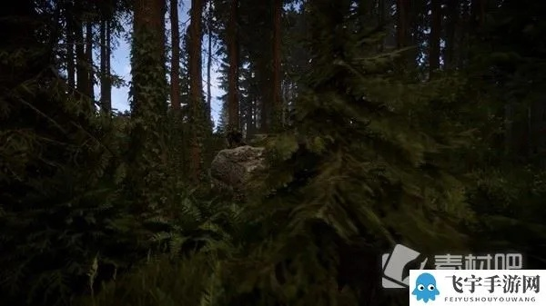 森林之子门禁卡位置速查指南 森林之子门禁卡位置速查指南