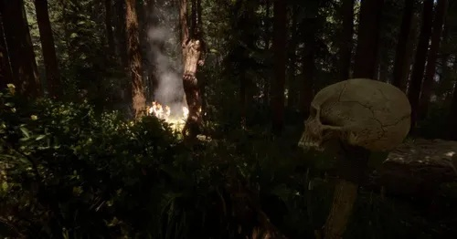 《森林之子》配方揭秘:破解药物合成难题 《森林之子》配方揭秘:破解药物合成难题