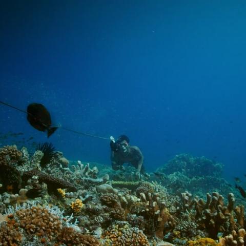 《森林之子》潜水服怎么快速获取? 《森林之子》潜水服怎么快速获取?