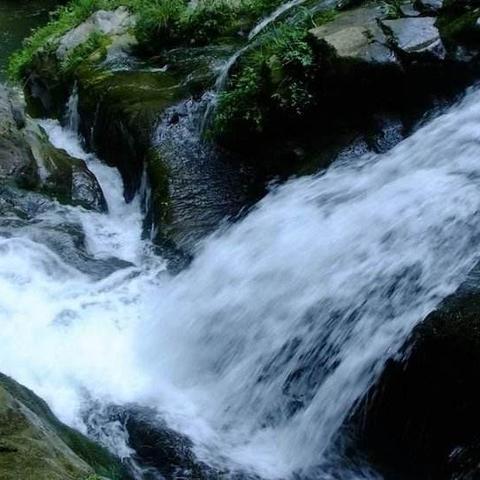 《森林之子》揭秘:如何吃掉野人?快速生存技巧! 《森林之子》揭秘:如何吃掉野人?快速生存技巧!