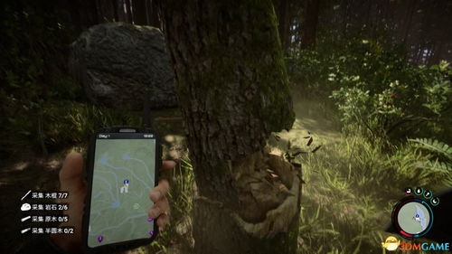 《森林之子》玩法攻略：新手必看！快速上手技巧