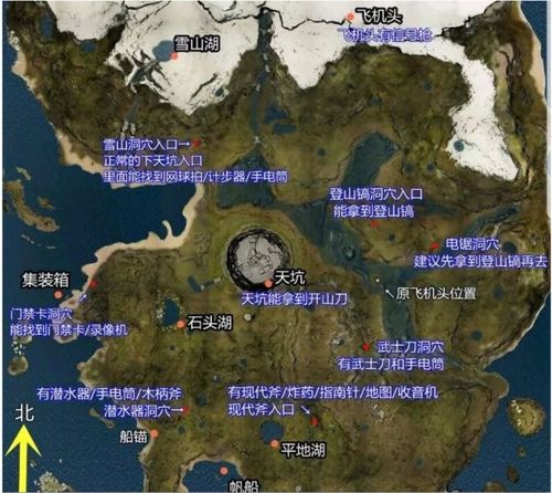 《森林之子》建家点推荐:揭秘最佳选址! 《森林之子》建家点推荐:揭秘最佳选址!