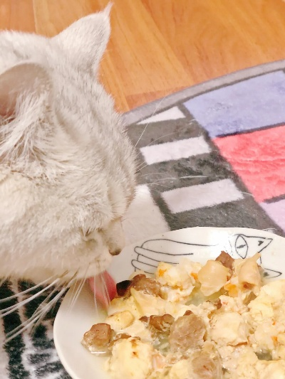 狂野之心猫饭配方,告别挑食难题 狂野之心猫饭配方,告别挑食难题