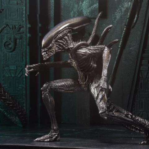 狂野之心猎人之腕触发攻略