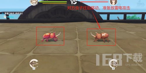 原神荒泷斗虫大赛第五天满奖励攻略！