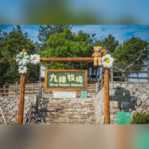 羊了个羊2月18日通关秘籍!快速通关攻略 羊了个羊2月18日通关秘籍!快速通关攻略