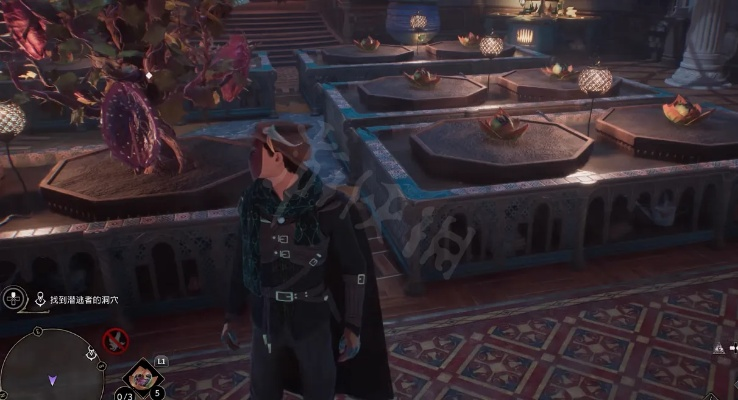 《霍格沃茨之遗》潜行植物流玩法入门攻略