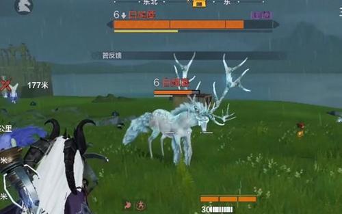 原神鳗肉速采攻略，快速获取方法揭秘