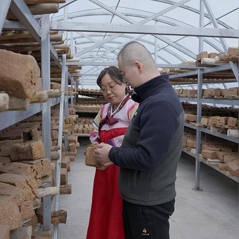 游戏生涯喜好表网址用法速查 游戏生涯喜好表网址用法速查