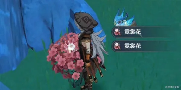 原神霓裳花速收攻略 原神霓裳花速收攻略