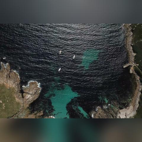 航海日记2高效刷本攻略，快速提升收益秘诀