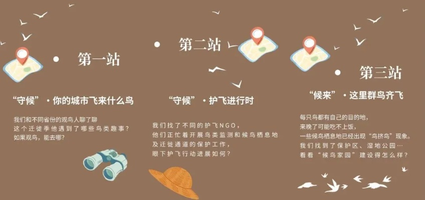 《候鸟》玩法揭秘：如何轻松玩转候鸟？