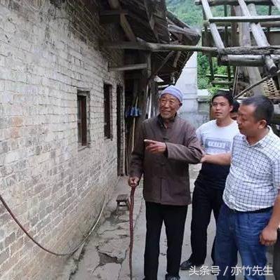 羊了个羊1月29日攻略,快速通关技巧揭秘 羊了个羊1月29日攻略,快速通关技巧揭秘