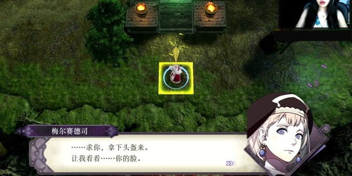 火焰纹章结合超难攻略,经典实用经验速成! 火焰纹章结合超难攻略,经典实用经验速成!