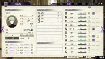 火焰纹章职业成长率揭秘:如何快速提升? 火焰纹章职业成长率揭秘:如何快速提升?