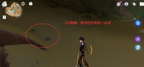 原神沙脂蛹在哪?快速收集攻略 原神沙脂蛹在哪?快速收集攻略