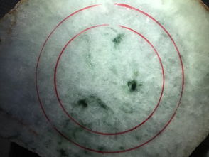 原神3.4砂脂蛹速刷法 原神3.4砂脂蛹速刷法