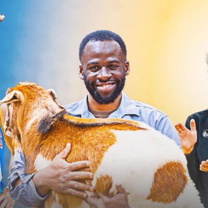 《模拟山羊3》史蒂夫营救攻略,快速解救方法! 《模拟山羊3》史蒂夫营救攻略,快速解救方法!