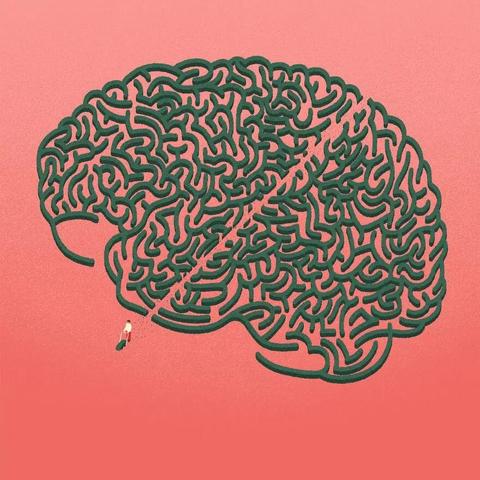 迷宫大侦探玩法揭秘:破解迷局,趣味无限 迷宫大侦探玩法揭秘:破解迷局,趣味无限