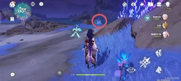 原神天云草高效收集路线揭秘 原神天云草高效收集路线揭秘