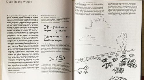 《黑羊》东南西北谜题破解攻略 《黑羊》东南西北谜题破解攻略