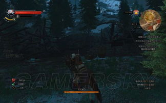 巫师3熊学派次世代版攻略:如何快速升级? 巫师3熊学派次世代版攻略:如何快速升级?