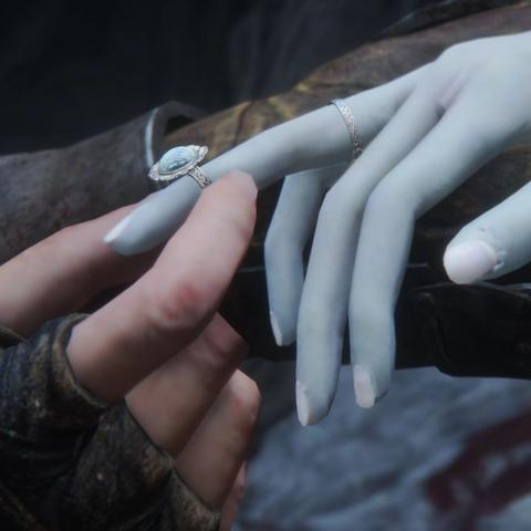 艾尔登法环祭坛乌龟位置速查