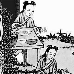 《药剂工艺炼金术士模拟器》生命之盐制作攻略 《药剂工艺炼金术士模拟器》生命之盐制作攻略