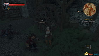 巫师3老戴攻略：全流程揭秘，快速通关！