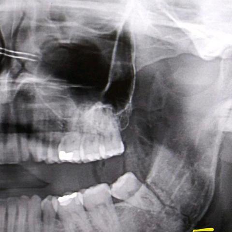 黑羊真结局揭秘攻略全解析 黑羊真结局揭秘攻略全解析