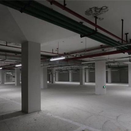 环形战争智慧书库5层通关秘籍! 环形战争智慧书库5层通关秘籍!