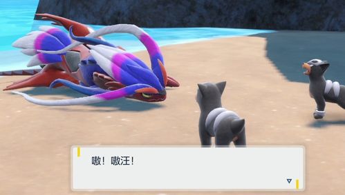 宝可梦朱紫迷你龙集中地揭秘