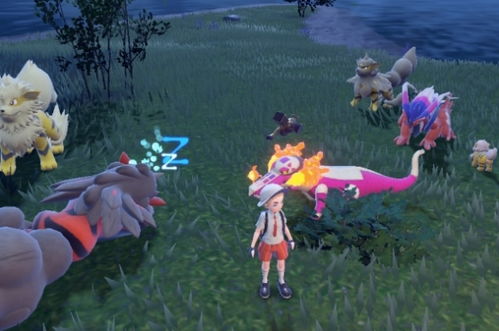 宝可梦朱紫刷闪技巧攻略 宝可梦朱紫刷闪技巧攻略