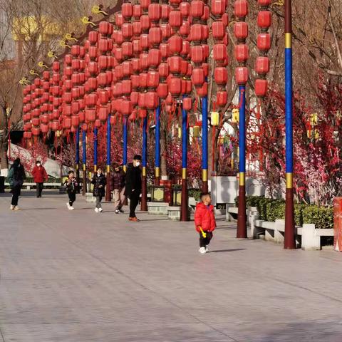 原神画外旅照第六天攻略,快速通关秘籍! 原神画外旅照第六天攻略,快速通关秘籍!