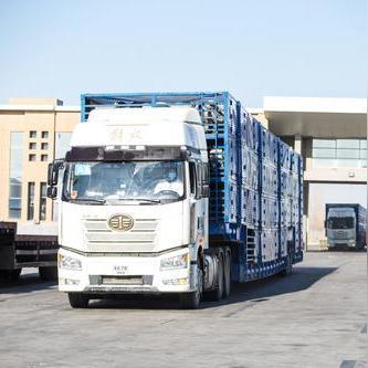 羊了个羊11月21日通关攻略，快速通关技巧揭秘