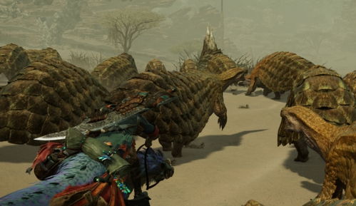 《怪物猎人荒野》快速赚钱攻略，揭秘赚钱秘诀！