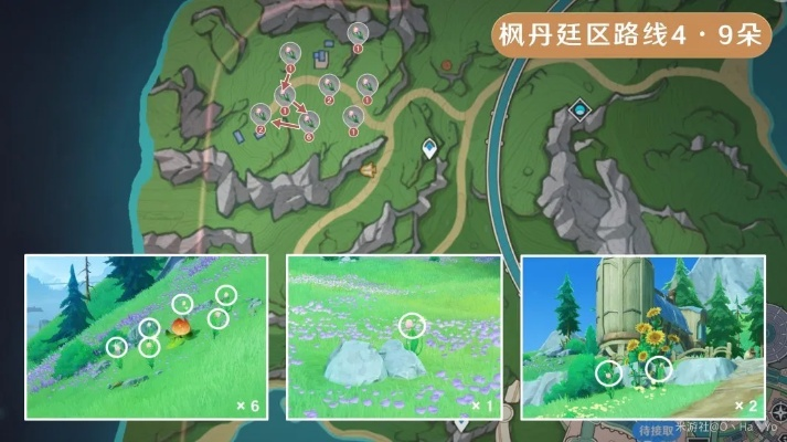 《原神》虹彩蔷薇采集攻略:快速找到采集点 《原神》虹彩蔷薇采集攻略:快速找到采集点
